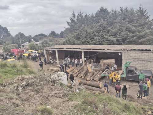 En el operativo conjunto, fueron asegurados cuatro aserraderos clandestinos y detenidas siete personas en los pueblos de Santo Tomás y San Miguel Ajusco.