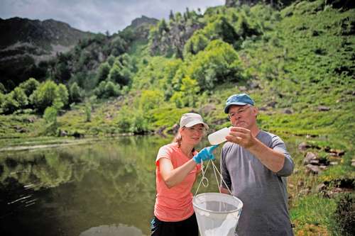 El investigador alemán Dirk Schmeller (derecha) y la alumna de posgrado Pauline Benzi observan muestras del lago Labant para estudiar su zooplancton y cómo se ve afectado por los cambios de temperatura y la contaminación, en Aulus-les-Bains, suroeste de Francia. El trabajo, publicado en Science of the Total Environment, reveló que se detectaron 151 moléculas químicas en ocho cuerpos de agua de gran altitud.