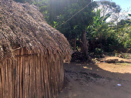 Los acahuales proporcionan la mayoría de los materiales necesarios para satisfacer las necesidades de vivienda y energía de las familias mayas. Ejido Chan Santa Cruz, Quintana Roo.  Francisco Chapela Mendoza