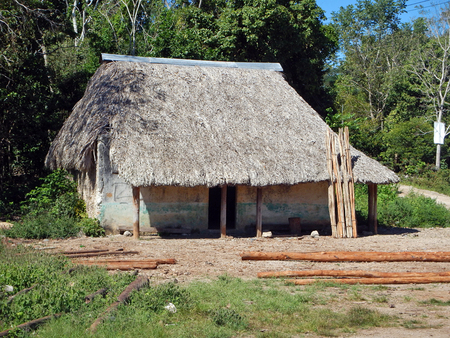 Troncos de árboles de varios diámetros cosechados en acahuales y selva para venta como material de construcción de palapas en el Caribe mexicano. Ejido maya en el municipio de Felipe Carrillo Puerto, Quintana Roo.  José Antonio Sierra Huelsz