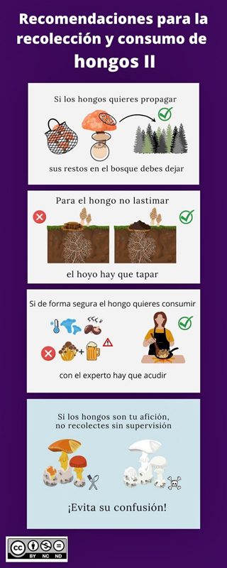 Recomendaciones para la recolección y consumo de hongos.  A. Ramírez, B. Aranda, V. Jiménez, A. Soto y M. Escutia