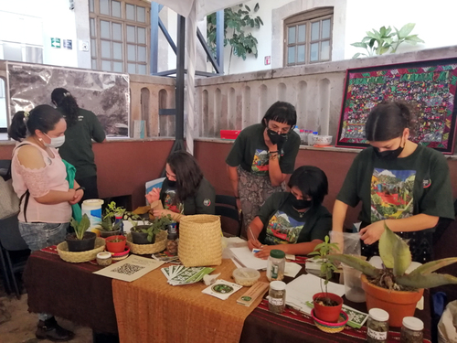Feria “Creciendo agroecologías” en el Centro Cultural UNAM, Ciudad de Morelia. Ana Isabel Moreno-Calles