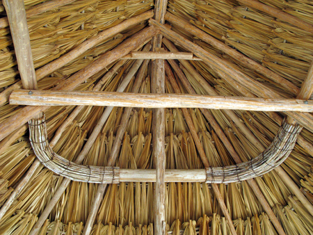 Vista del interior de un techo de palma de huano (Sabal yapa) en una casa maya de Quintana Roo. Fotografía:  José Antonio Sierra Huelsz