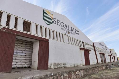  Seguridad Alimentaria fue creada en enero de 2019 y su primer titular, Ignacio Ovalle, fue relevado a principios de este año tras documentarse el desvío de recursos en el organismo. Foto Cuartoscuro