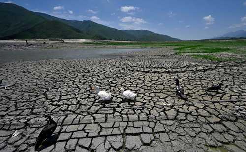 Ignacio Barragán Villarreal, director de Servicios de Agua y Drenaje de Monterrey, Nuevo León, estimó que la presa La Boca, en el municipio de Santiago, se sacará a finales de agosto; actualmente registra un llenado de 8.33 por ciento y se extraen de ella 400 litros por segundo.