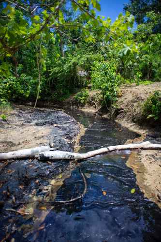 En la comunidad de Adolfo Ruiz Cortines, municipio de Papantla, Veracruz, varios manantiales quedaron contaminados por una fuga en un pozo de Petróleos Mexicanos el pasado 2 de julio; trabajadores de la empresa tardaron nueve días en controlarla.