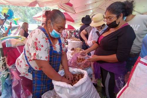 Alrededor de 150 expositores se dieron cita en los campos deportivos del Instituto Mexicano del Seguro Social de esta localidad ubicada a unos 60 kilómetros de la Ciudad de México, donde atenderán a los clientes hasta el 14 de agosto.