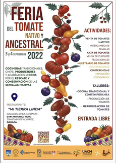 Feria del tomate nativo y ancestral