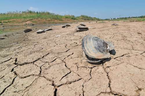 Imagen captada ayer del lago de Nanjing, en la provincia china de Jiangsu, en la zona este del país.