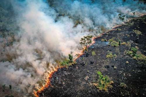 La mayor catástrofe en la Amazonia en 12 años