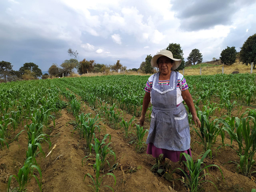 Josefina Rodríguez Gonzaga en zocolozacatl, San Miguel Xicalco.  Laura Flores