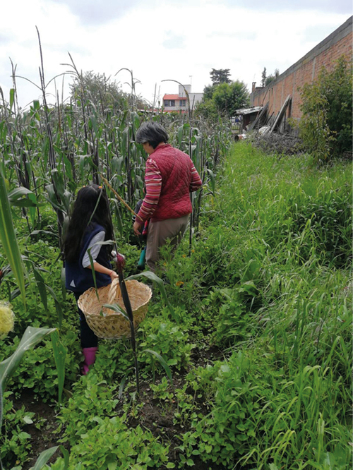 San Mateo Tlaltenango.