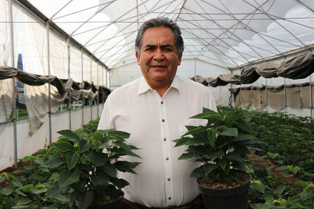 Héctor Guzmán Sánchez, productor de flores de Nochebuena en la alcaldía Xochimilco. Tonatiuh Vera Balanzario CORENADR