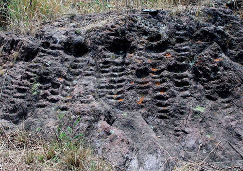 Réplica en miniatura de un sistema hidráulico con sus terrazas agrícolas, localizado en el paraje de Tenene, Piedra Larga, límite Milpa Alta- Xochimilco. Desde él se ve salir el Sol en el cráter del Popocatépetl durante el solsticio de invierno. Saulo Alquisira Zavala