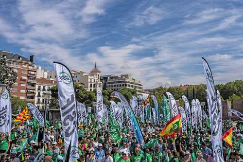 Las calles de Madrid se vieron copadas de trabajadores del gobierno. Los organizadores aseguraron que se dieron cita 70 mil personas, mientras las autoridades locales cifraron la concentración en 17 mil ciudadanos.