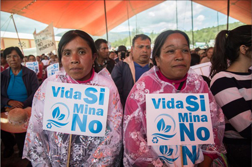 Mujeres en defensa de la vida y de su territorio. Asamblea Masehual, Tutunaku y Mestiza en Ixtacamaxtitlán.  Cortesía del CCMSS