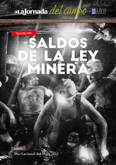 Saldos de la Ley minera