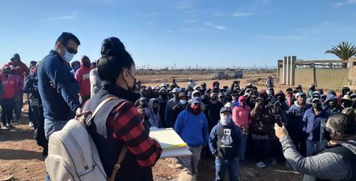 Jornaleros agrícolas de la empresa San Marcos Invernaderos, en San Quintín, pararon labores en enero de 2021, en protesta por el pago de sus sueldos en partes.