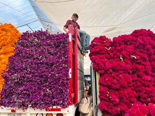 La Jornada: Capitalinos aprovechan el asueto dominical y anticipan vísperas  por el Día de Muertos