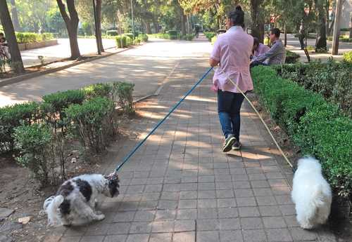 La carga de trabajo sin paga para las mujeres incluye atención a la familia y mascotas.