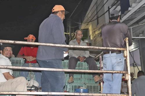 Desde temprano, en la cabecera municipal de Buenavista, al menos 2 mil jornaleros parten rumbo a las huertas de limón, donde laboran cinco horas y tienen que soportar altas temperaturas, para ganar en un día alrededor de 300 pesos.