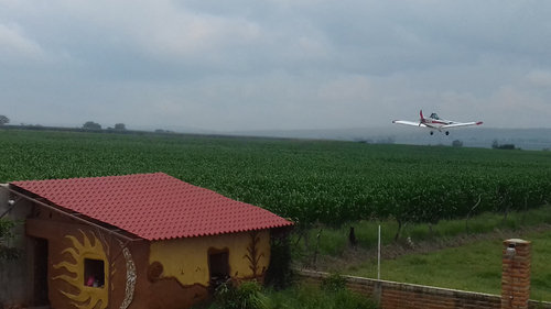 Avioneta fumigando en Palos Altos, Jalisco.  David Sánchez