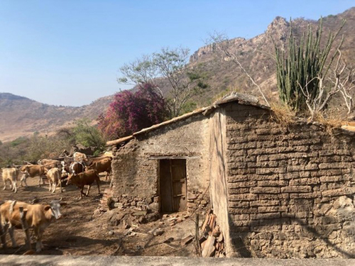 Vida rural en temporada de estiaje, San Cristóbal de la Barranca.  Concepción Sánchez