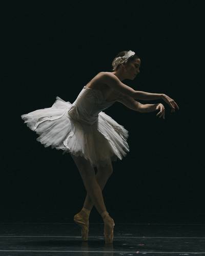 En la temporada DanZoología el público podrá observar distintas versiones de La muerte del cisne. En imagen, una escena de la obra dancística.