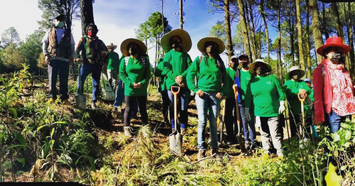 Reforestación 2021.
