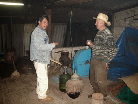 Pedro Guerrero y Ángel Guerrero. Maestros mezcalicultores.