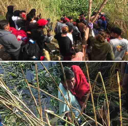 Ciudadanos provenientes de Venezuela, Haití y El Salvador, principalmente, entre ellos mujeres, niños y recién nacidos, comenzaron a cruzar ayer el río Bravo, en Matamoros, Tamaulipas, pese al riesgo que implican la proliferación de lirio y las fuertes corrientes.