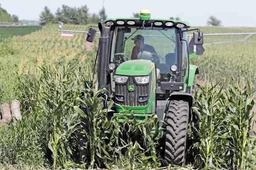 Cada año en EU, más de 125 millones de kilos del herbicida se usan en más de 120 millones de hectáreas.