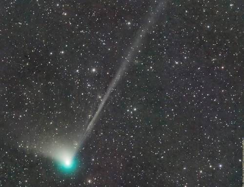 Científicos del sistema astronómico Zwicky Transient Facility descubrieron en marzo pasado al cometa que será visible este mes.