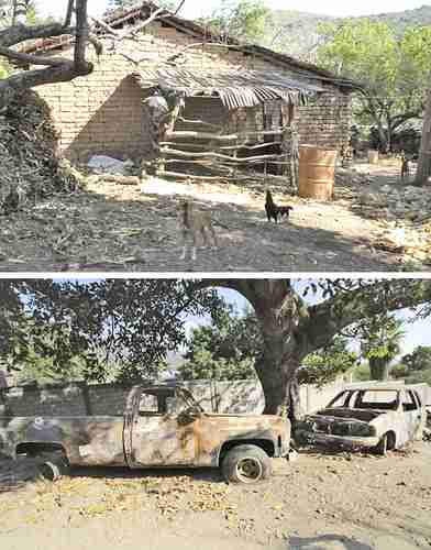 Animales y cosechas quedaron abandonados en el poblado de Molonial, municipio de Cuetzala del Progreso, en el norte de Guerrero, tras el éxodo de sus habitantes luego de la irrupción y ataques de un grupo delincuencial. Al menos dos personas fueron ejecutadas y dos vehículos incendiados en noviembre pasado durante la irrupción de presuntos integrantes del grupo delictivo Los Tlacos, en la comunidad de Cuaxilotla, municipio de Cuetzala del Progreso.