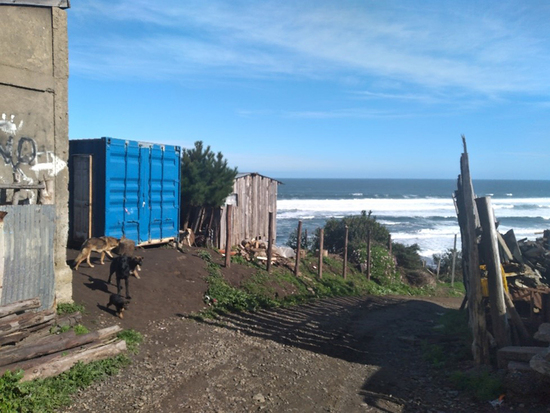 Comunidad de recolectores de orilla Mina Costa, municipio de Lebu. Región del Bío-bío Chile.