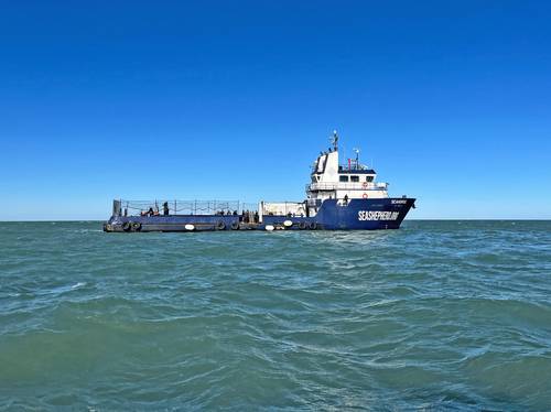 Se reforzará protección de la vaquita marina con el arribo del buque Seahorse: Semar