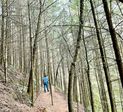  La cooperativa Sehuaya no sólo promueve el ecoturismo, también protege el bosque donde los visitantes disfrutan de la naturaleza cerca de la gran ciudad. Foto Luis Castillo