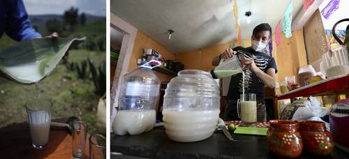 El próximo domingo se conmemora a la bebida de origen prehispánico que se obtiene de la fermentación del aguamiel, el cual se extrae del maguey pulquero o agave.