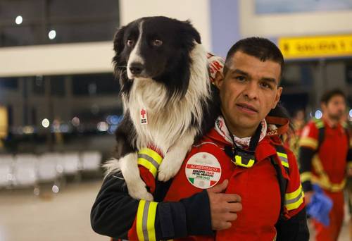  Orly, con su manejador, forma parte de la delegación de socorristas mexicanos que partió ayer rumbo a Turquía. Foto SRE y Ap