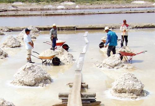 Salinas ricas en litio que son suceptibles de explotación comercial en SLP.