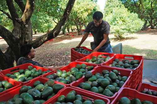 Los trabajadores saben que la paga no es la mejor, pero la situación laboral es complicada.