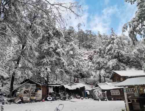La zona de la Mesa de Tres Ríos, en el municipio de Nácori Chico, Sonora, durante el paso del frente frío número 32, el cual generó nevadas que obligaron a las autoridades al cierre del tramo Santa Cruz-Cananea de la carretera 1100, Ímuris-Agua Prieta. Para hoy se espera el ingreso del frente frío 33.