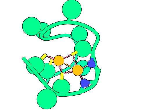 Representación hecha por computadora que muestra los átomos de nitrógeno de la columna vertebral (azul) que unen dos átomos críticos de níquel (naranja).