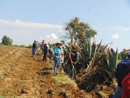 Faena Agroecológica, de la Escuelita Campesina Agroecológica, Magdalena Cuextotitla.  CES