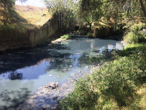 Río Atoyac, ubicado entre los estados de Tlaxcala y Puebla.  Omar Arellano-Aguilar