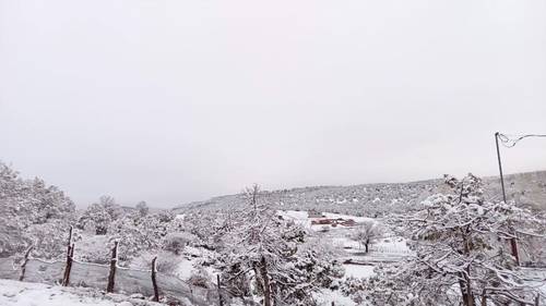 La comunidad serrana de Tajirachi, municipio de Carichí, Chihuahua, amaneció cubierta de nieve tras el paso de la décima tormenta invernal, que también afectó a Coahuila y Nuevo León.