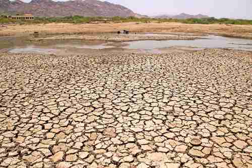 La Organización Mundial de la Salud alertó hace unos días que cerca de 100 mil personas en Somalia enfrentan un nivel catastrófico de hambre debido a la peor sequía en cuatro décadas en la región del Cuerno de África. De acuerdo con un estudio elaborado junto con el Fondo de Naciones Unidas para la Infancia, se estima que durante el primer semestre del año podrían morir entre 18 mil 100 y 34 mil 200 personas por la sequía en la región. En imagen de archivo, vista general de un lago que se seca en un día de verano cerca de la ciudad india de Ajmer.