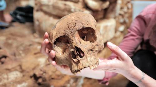 Reporta el INAH el hallazgo de cámaras funerarias y entierros en Palenque y Tabasco