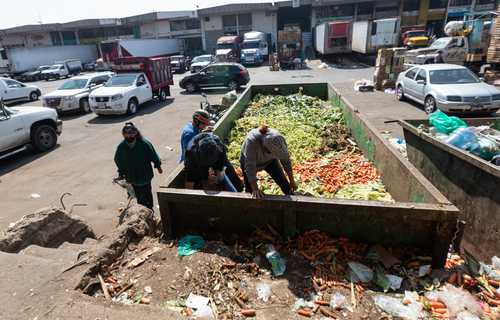 Las bancos de alimentos trabajan con 600 productores del campo y con centrales de abasto.
