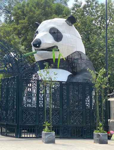 Un panda de 10 metros colocado en la Puerta de los Leones como parte de Animalística Festival del Bosque de Chapultepec, que se realiza del 6 al 9 de abril en la primera y segunda secciones, sorprendió a los visitantes en el marco de los 100 años del lugar.